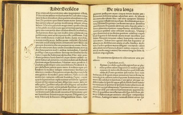 Aantekeningen, waaronder ‘manicula’, bij een passage uit Boek 2, 101 C 24 KL (2)